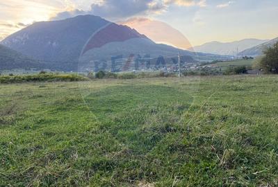 Teren 646mp intre Bran si Zarnesti (Tohanita,) intravilan - 20