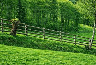 7.000 mp, pozitie spectaculoasa, fara vecini, Fundatica, Brasov - 3
