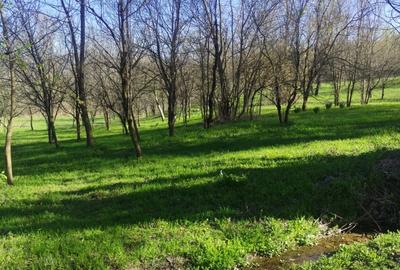 Teren intravilan com.Drajna, sat Cătunu, 12 km de Vălenii de Munte, jud. Prahova - 3