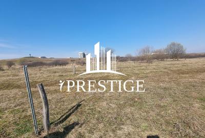 TEREN DE VÂNZARE 1000 MP ȘELIMBĂR ZONA TROIȚĂ | INVESTIȚIE - 3