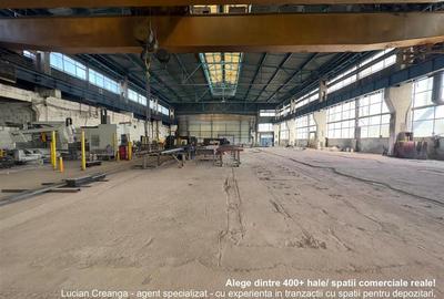 Vanzare hala Calea Chisinaului Iasi, zona Carrefour, 4482mp - 1