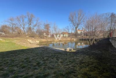 Casa cu lac in curte, Sacel, Sibiu - 16