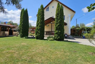 CASA VACANTA-zona pitoreasca minunata - 13