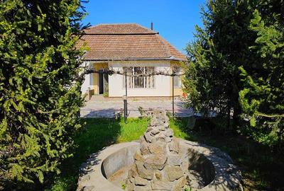 PROPRIETATE CU AFACERE FUNCTIONALA DE VANZARE - PETREU, LANGA MARGHITA - 1