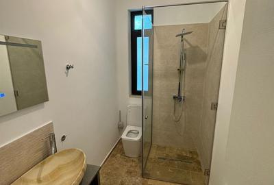 Apartament 2 camere ultracentral - 12