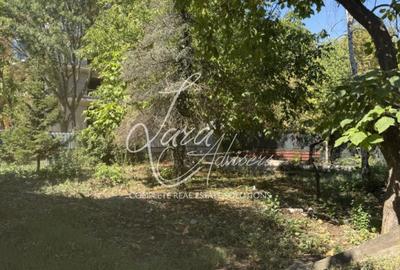 Vila versatila Iancu Nicolae - rezidenta, comercial sau clinica - 6