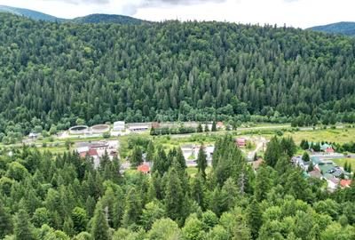 Teren Intravilan Predeal - Acces direct DN - Priveliste deosebita - 18