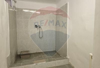 Casă / Vilă cu 4 camere de închiriat în zona Andrei Muresanu - 19
