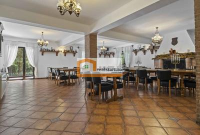 Oportunitate, Restaurant cu MiniPensiune 800mp, 1,8ha teren, Via Transilvanica - 26