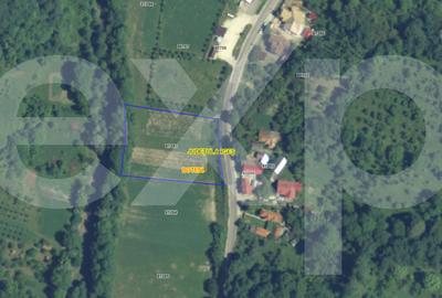 Teren Construcții intravilan de 3565 mp, în Boteni