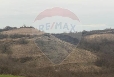 Teren agricol 18.800 mp în Crișeni, lângă Vurpăr - 2