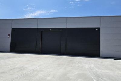 Pantelimon DN3 hala 600 mp - 1