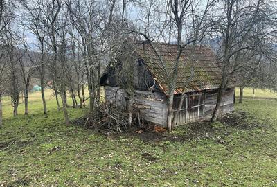 Teren intravilan si extravilan Luncoiu de Jos - 1
