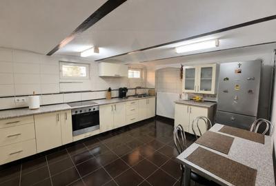 Casă cu 2 apartamente - 5 -camere -140 mp - Turnișor - 8