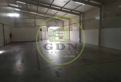 Hala industriala, 425mp, Carcea, zona Ford - 2
