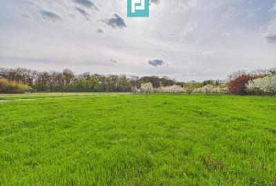 Teren intravilan, 820 mp, Pădure Giroc - 1