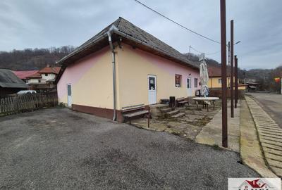 Casa de vanzare in Zlatna-Trimpoiele - 3