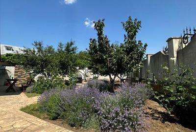 Casa individuala 178+30 mp, teren 557 mp, Urziceni, Centrul Vechi, mobilata - 46