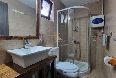 Complex turistic și proprietate deosebită de vânzare în Valea Dobârlău - 18