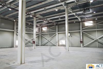 INCHIRIERE SPATIU INDUSTRIAL IN OTOPENI - 5