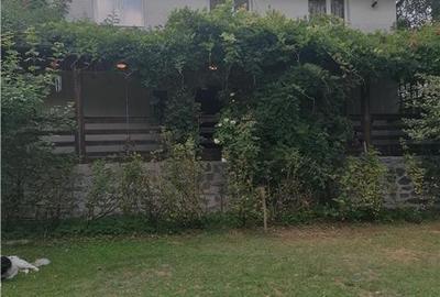 Casa de vacanta in Arges - 14