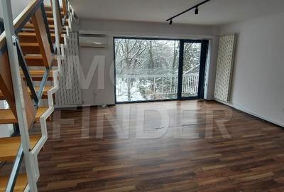 Inchiriere spatiu birouri zona Gradinii Botanice - 16