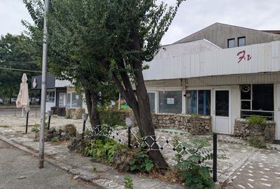 Spatii de inchiriat Bacau zona Gara - 10