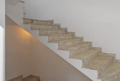 VILA ISTORICA CISMIGIU - COMPLET RENOVATA - 43