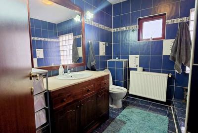 Vilă Individuală Strada Spicului 4 Camere, teren cca 370 mp, Fundeni - 14