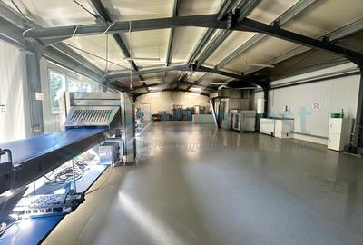 Hala noua de inchiriat, la 4 km de Oradea, Sanmartin - 1