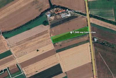 Teren Intravilan, 17500 mp, Sag, Timis, DN69 - 1