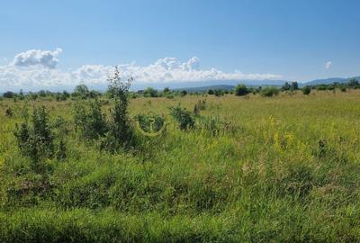 Teren Intravilan cu puz 1100 mp Sibiu, Cisnadie -Aeroport Magura - 3