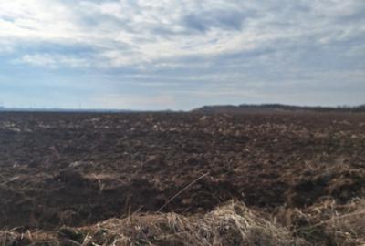 Teren extravilan de vanzare in suprafata de 15800 mp in Salistea, judet Alba - 3