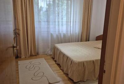 2 Camere Banu Manta / Victoriei / Titulescu - 6