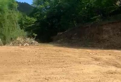 Oportunitate Teren extravilan 4000mp , Zona Baisoara - 1