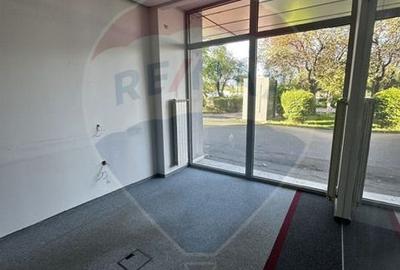SPATIU COMERCIAL - zona Semiluna , Baia Mare - 6