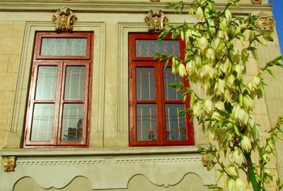 Conac boieresc - 5 camere - Nicolae Balcescu - 105.000 euro (Cod E11) - 7