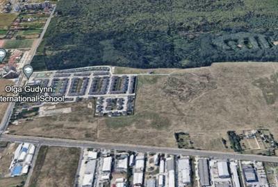 Teren Voluntari Padurea Baneasa - 3