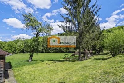 Oportunitate, Restaurant cu MiniPensiune 800mp, 1,8ha teren, Via Transilvanica - 50