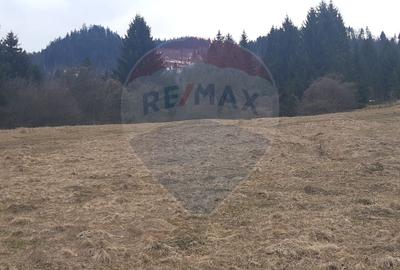 Teren Rasnov/ Soseaua Predealului DN73B - 4