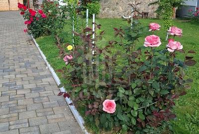 Casa de vanzare in exclusivitate | Avrig - 1