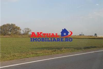 Teren de vanzare Balotesti -27.500mp-Stradal -Residentiale sau Comercial-cu toat - 1