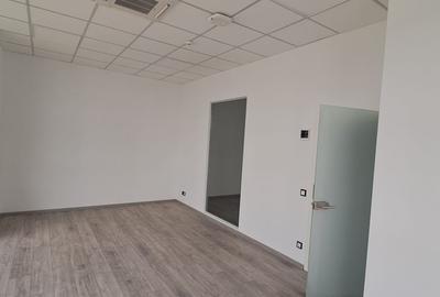 Spatiu de depozitare si productie Mogosoaia - 18