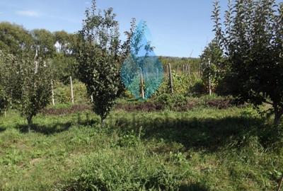 3240mp teren intravilan , Barnova-Iasi. - 1