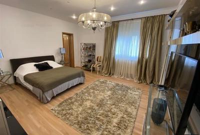 Vila individuala P+1+M   Iancu Nicolae   British Scool - 16