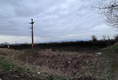 Teren 50000mp Extravilan-Intrare Halchiu-Cod 5235 - 8