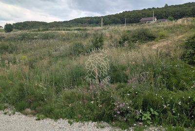 Teren Construcții extravilan de 1000 mp, în Est