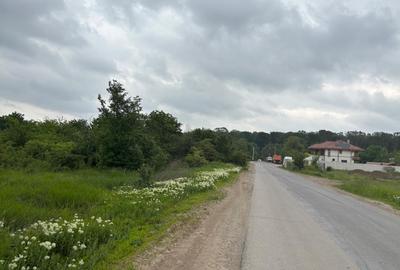 Terenul dintre 2 lacuri – 1000 mp în Mogoșoaia, la 5 minute de pădure - 2