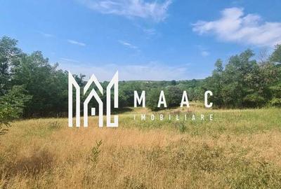 Teren | 12.922 MP | Loamneș - 2
