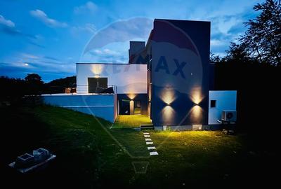 Vanzare Vila la munte - 26